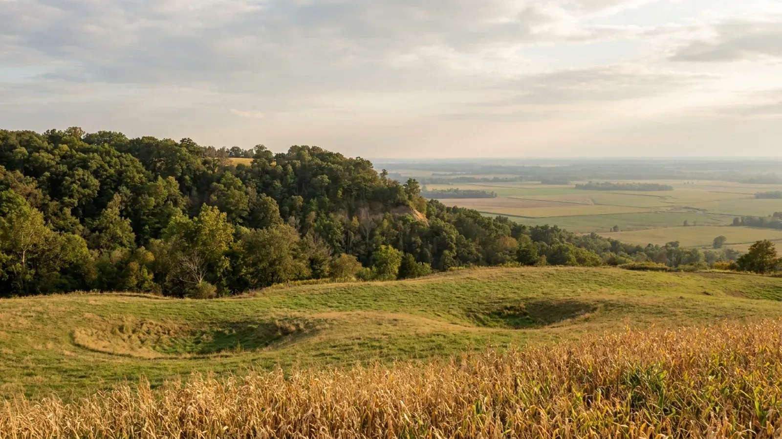 Rolling upland farmland at the top of a wooded bluff, looking out over a flat river bottomland of crop fields.